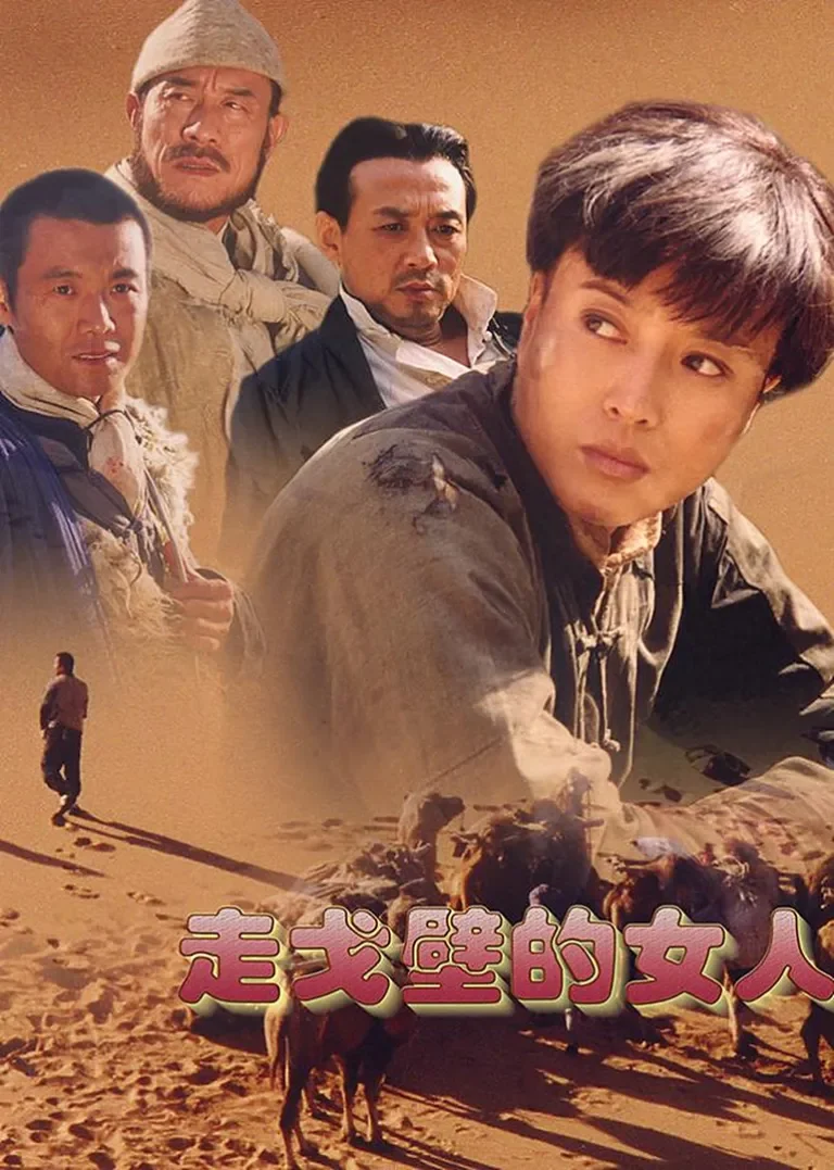 走戈壁的女人电视剧海报