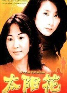 太阳花（2002版）