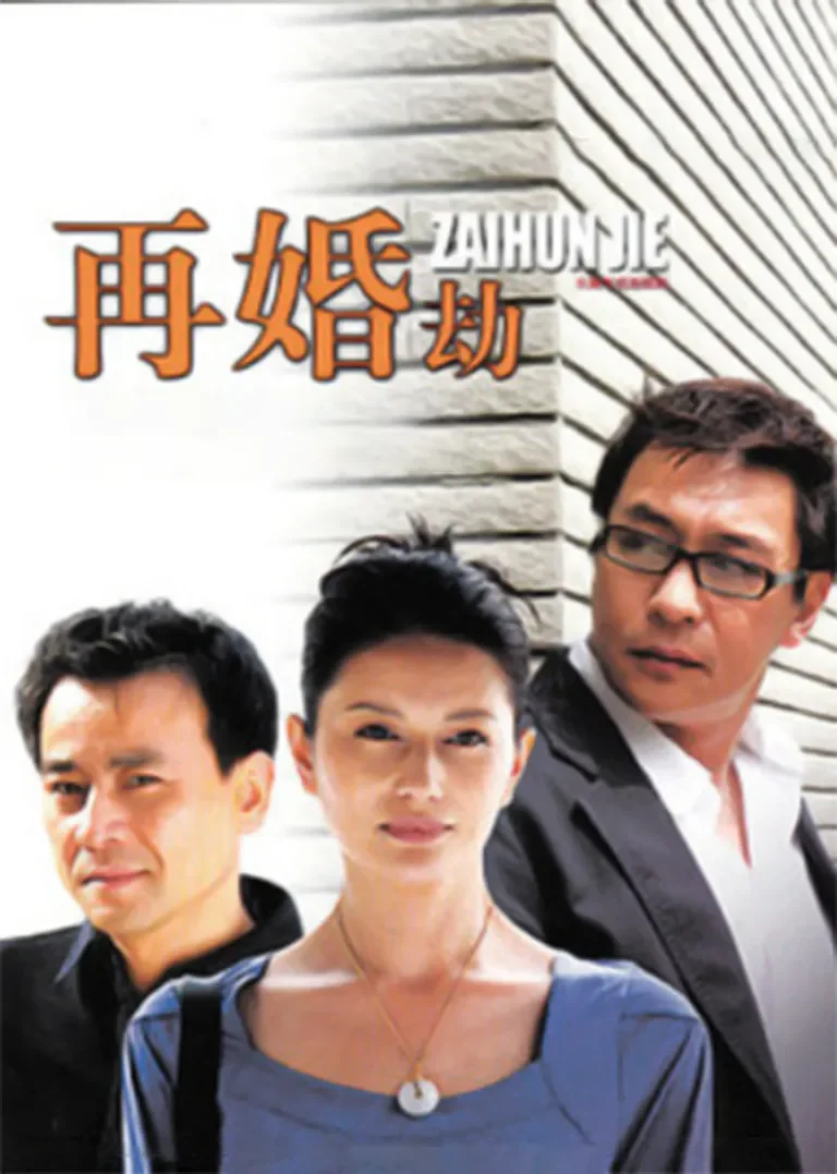再婚劫电视剧海报