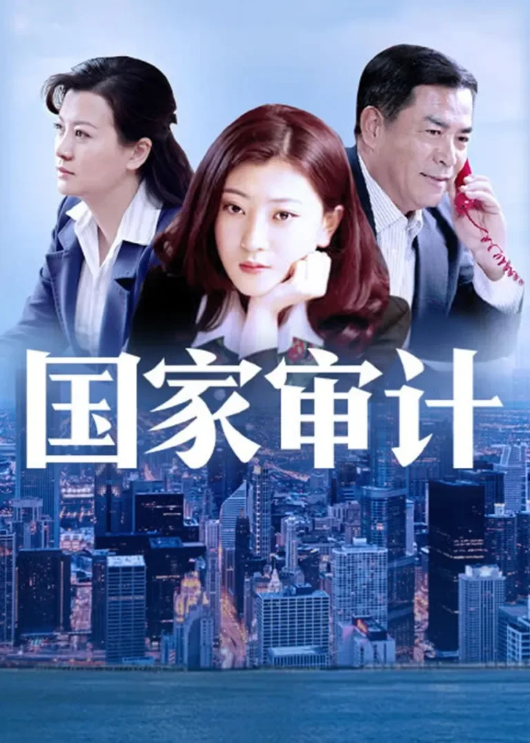 国家审计电视剧海报