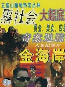 金海岸电视剧海报
