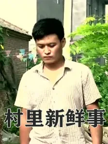 村里新鲜事电视剧海报