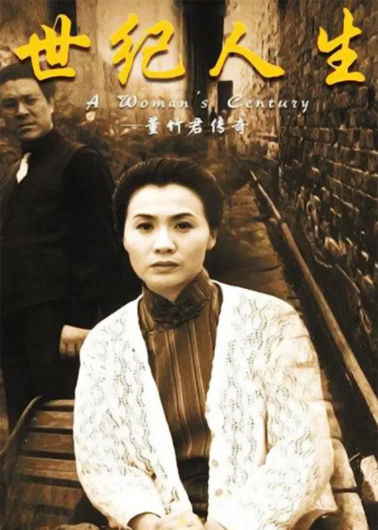 世纪人生电视剧海报