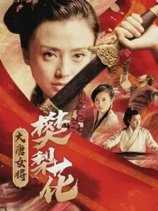 大唐女将樊梨花电视剧海报