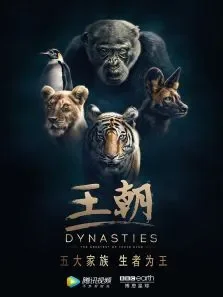 王朝电视剧海报