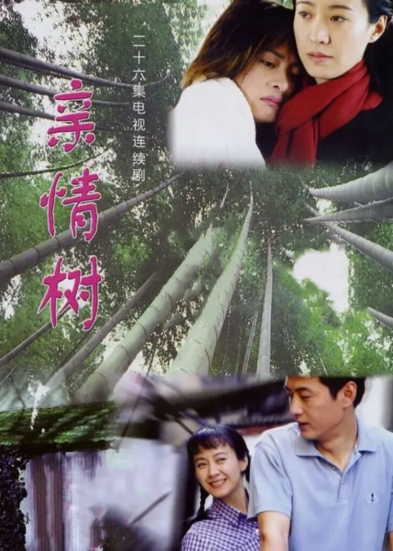 亲情树电视剧海报