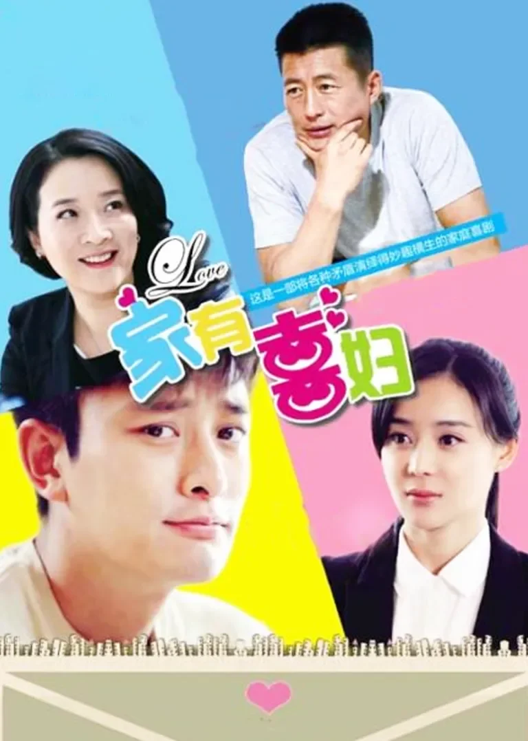 家有喜妇[DVD版]电视剧海报