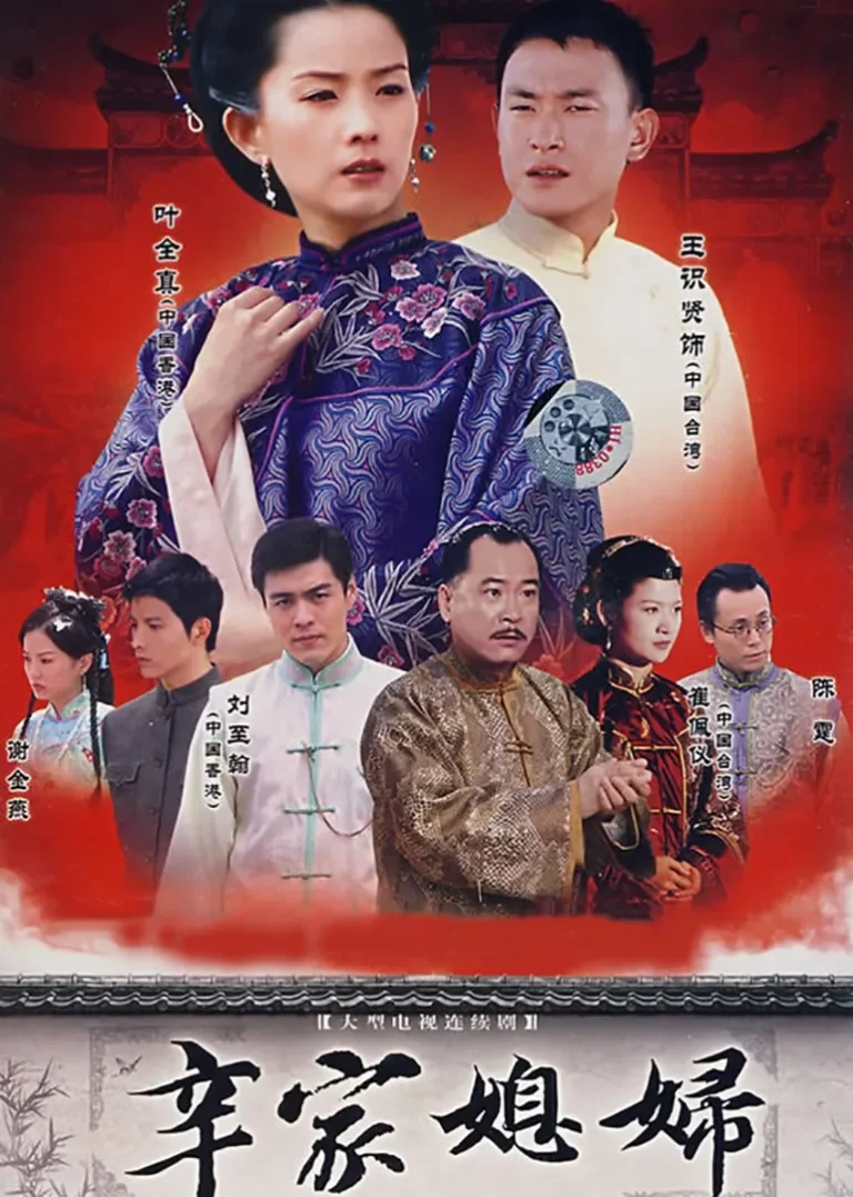 辛家媳妇电视剧海报