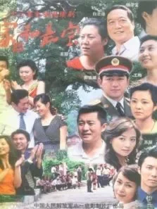 家和是宝电视剧海报