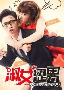 淑女涩男电视剧海报