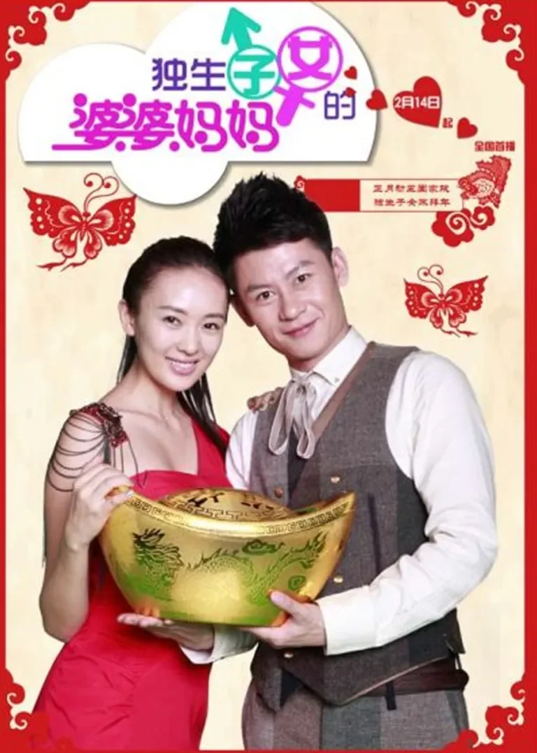独生子女的婆婆妈妈电视剧海报