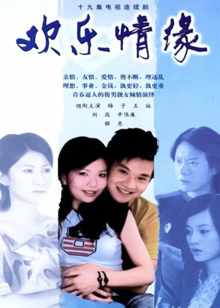 欢乐情缘电视剧海报