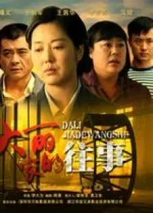 大丽家的往事电视剧海报