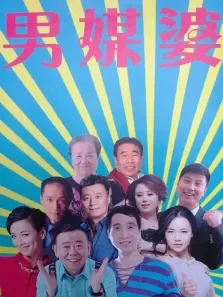 男媒婆电视剧海报