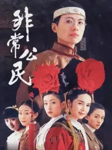 非常公民电视剧海报