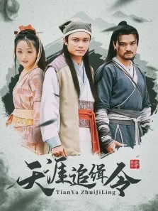 天涯追缉令电视剧海报