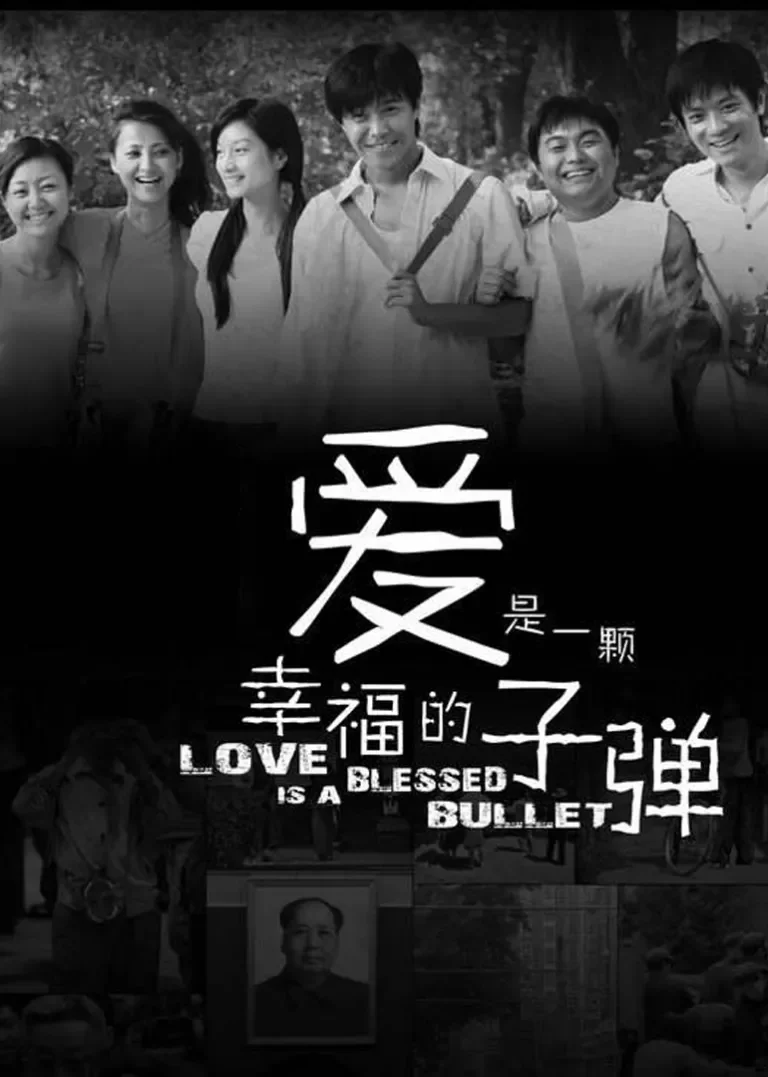 爱是一颗幸福的子弹电视剧海报