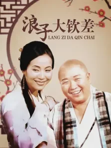浪子大钦差电视剧海报
