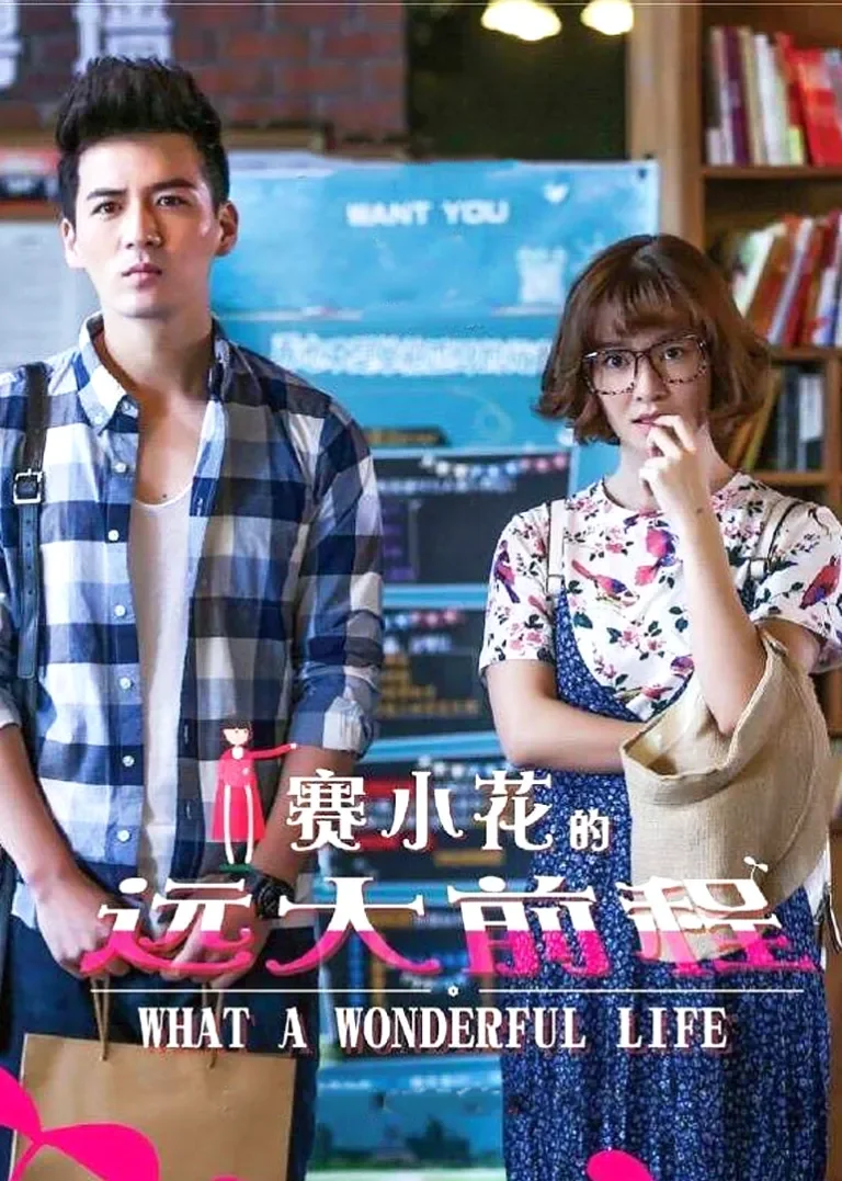 赛小花的远大前程电视剧海报