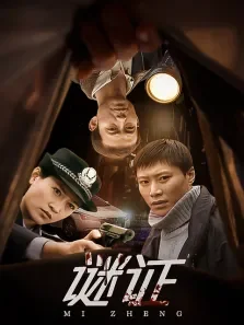 谜证电视剧海报
