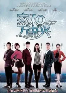 家和万事兴之花好月圆电视剧海报