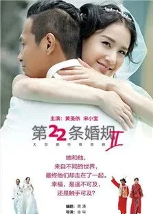 第22条婚规2电视剧海报