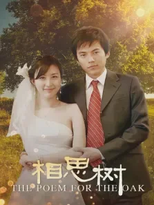 相思树电视剧海报