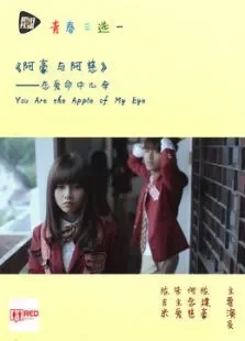 阿豪与阿慈：青春三选一电视剧海报
