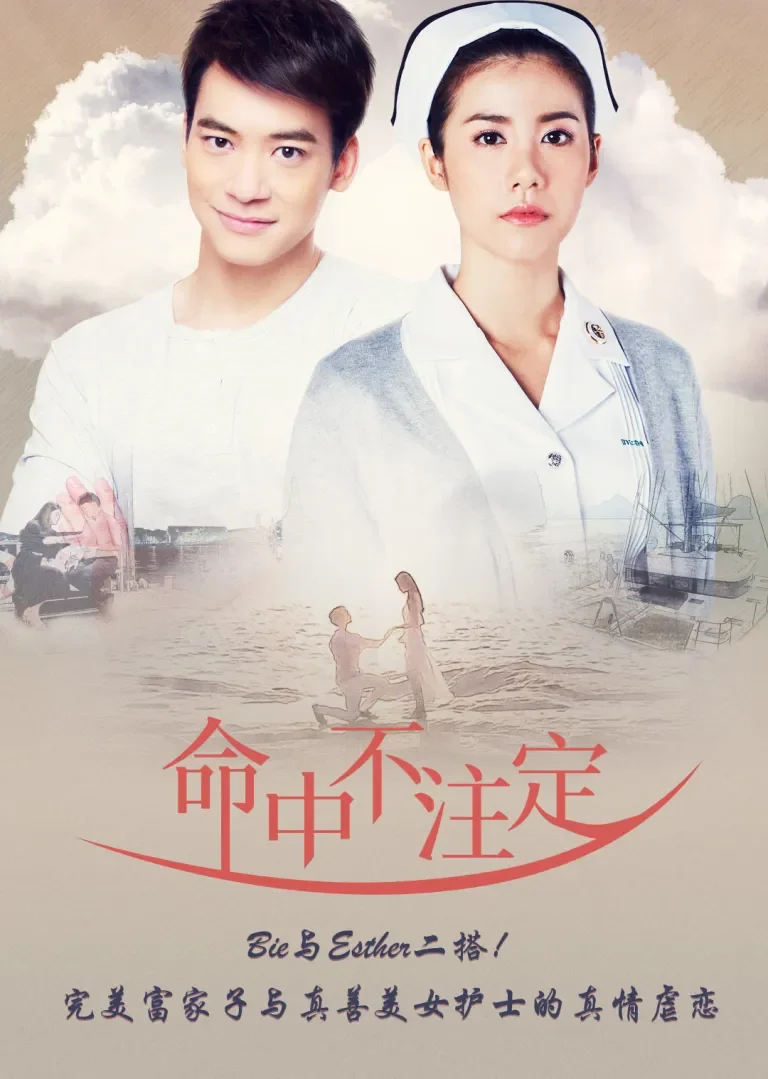 命中不注定[普通话版]电视剧海报