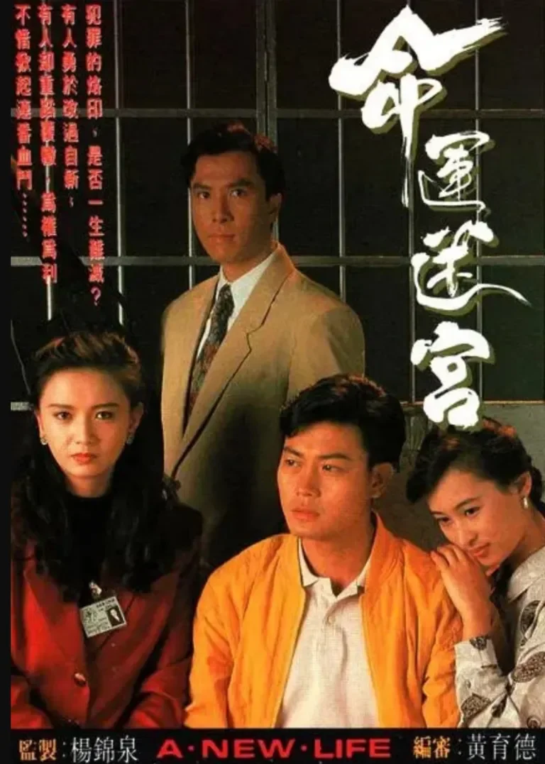 命运迷宫[粤语版]电视剧海报