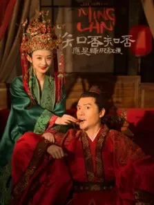 知否知否应是绿肥红瘦DVD版电视剧海报