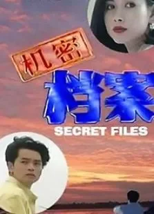 机密档案电视剧海报