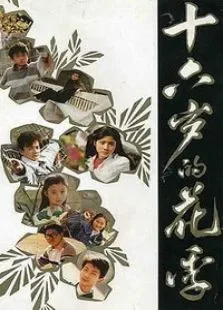 十六岁的花季电视剧海报