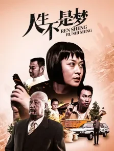 人生不是梦电视剧海报