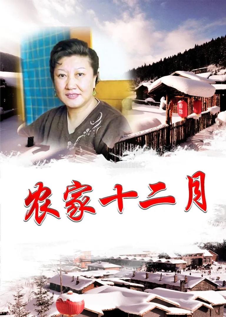 农家十二月电视剧海报