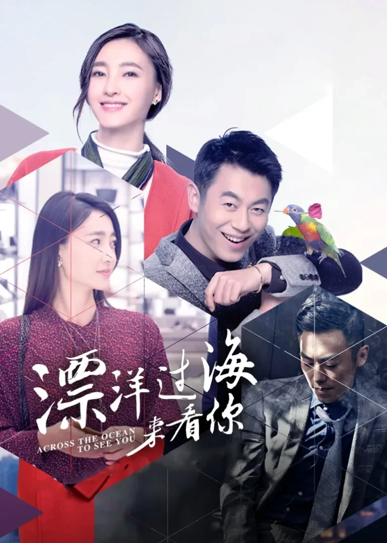 漂洋过海来看你[DVD版]电视剧海报