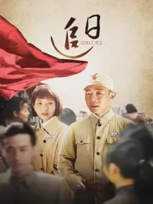 追日电视剧海报