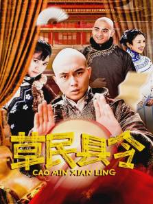 草民县令