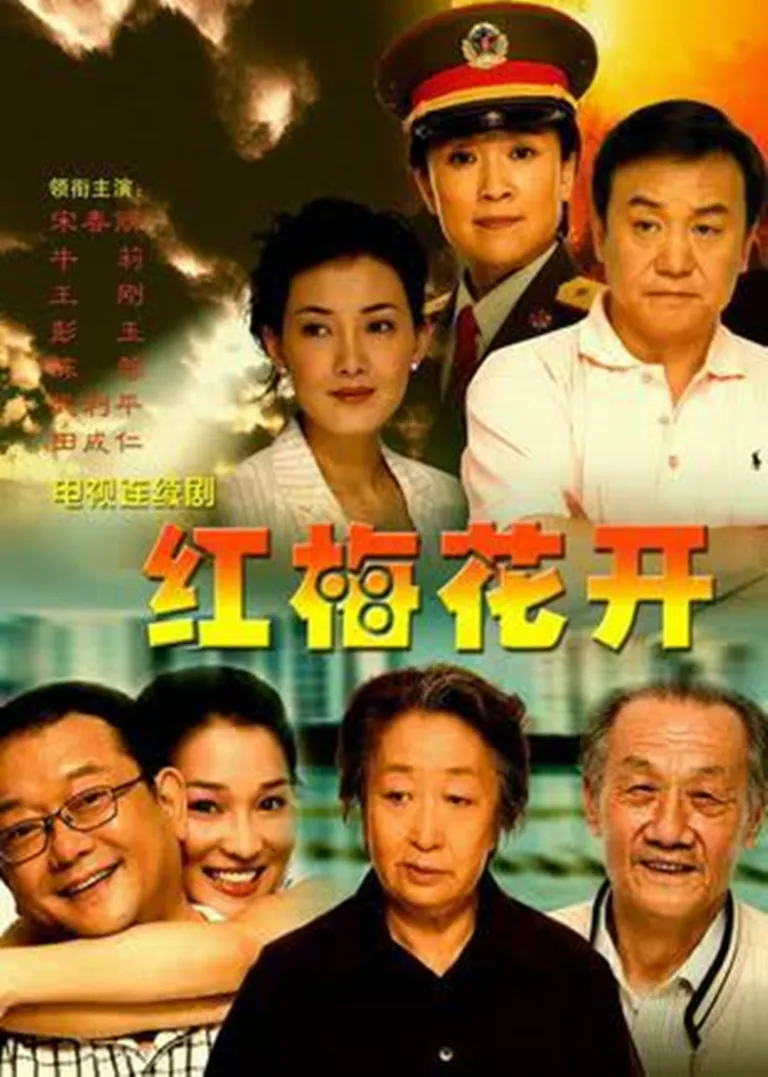 红梅花开电视剧海报