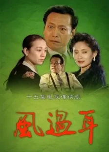 风过耳电视剧海报