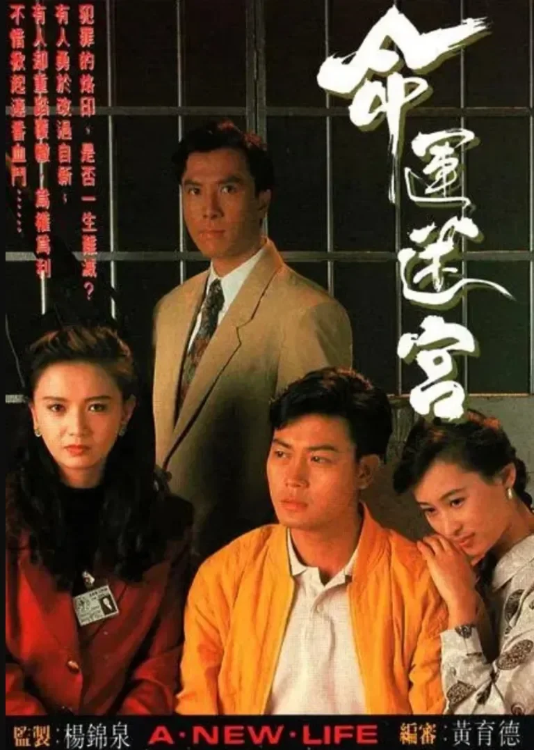 命运迷宫[普通话版]电视剧海报