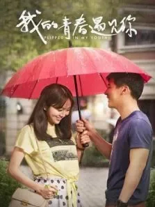 我的青春遇见你电视剧海报