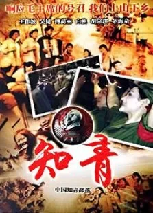 中国知青部落电视剧海报