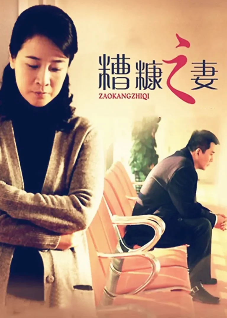 我的糟糠之妻电视剧海报