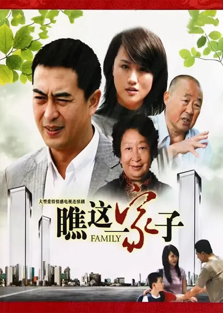 瞧这一家子电视剧海报