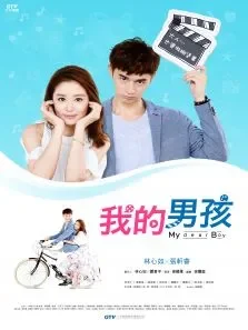 我的男孩电视剧海报