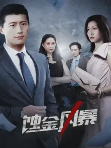 蚀金风暴电视剧海报