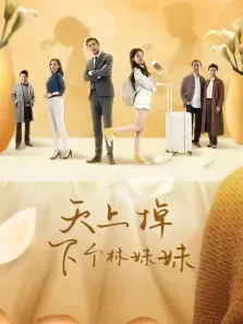 天上掉下个林妹妹电视剧海报