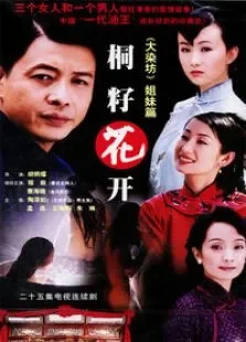 桐籽花开电视剧海报
