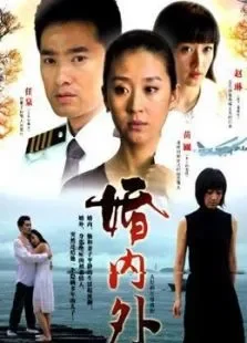 婚内外电视剧海报